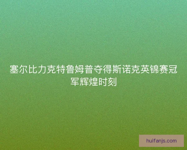 塞尔比力克特鲁姆普夺得斯诺克英锦赛冠军辉煌时刻